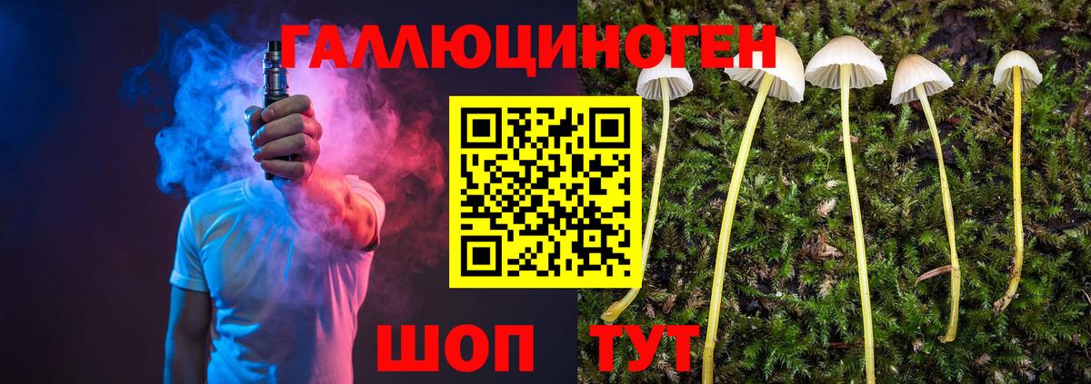 цены   Псилоцибиновые грибы MAGIC MUSHROOMS  Вход с VPN  Якутск  Псилоцибиновые грибы прущие грибы 