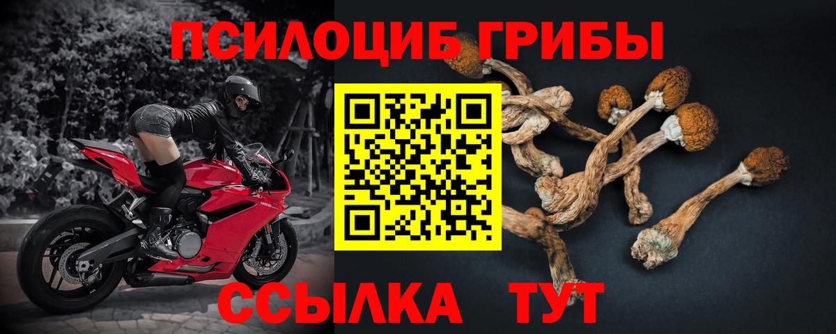 Псилоцибиновые грибы прущие грибы Якутск
